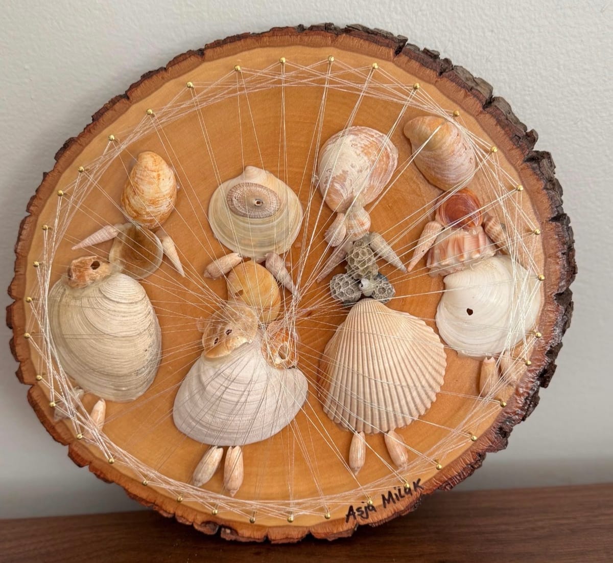 Handmade Seashell String Art on Live-Edge Wood – Coastal Wall Art, Beach House & Nursery Decor, detail view 3 — handmade string art by Asja