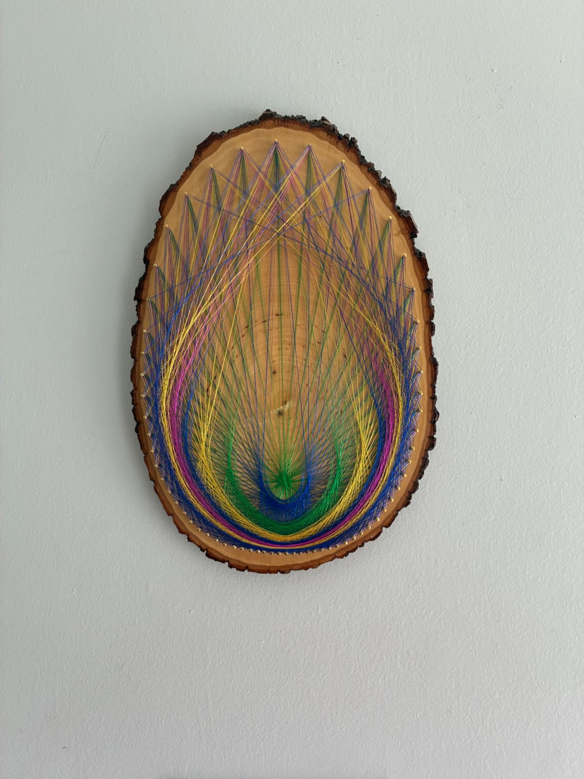 Jewel-Tone Feather Burst String Art - Layered Live-Edge Design, detail view 2 — handmade string art by Asja